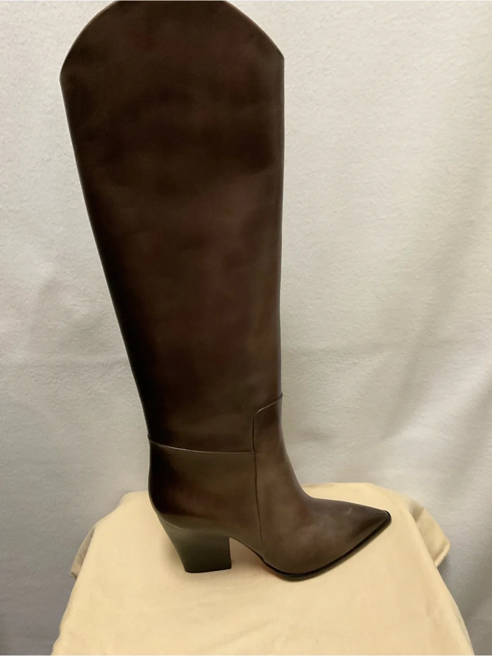 Santoni Tall Pointed-Toe Over-the-Knee Leather Boots in Dark Brown